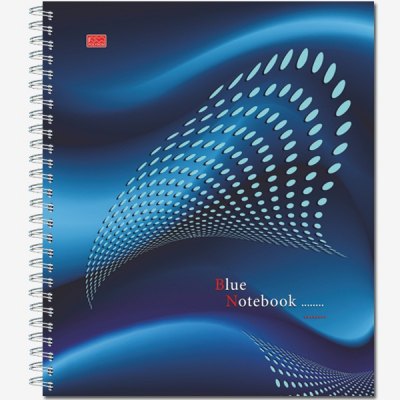   120     Color Notebook