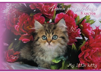   . 8 ."My little kitty" .08079/1