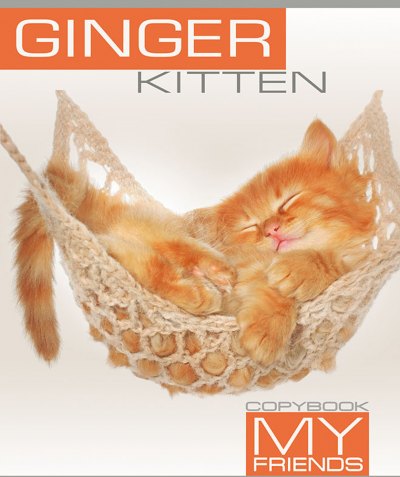 . 12 . ."Ginger kitten" . 129552/6