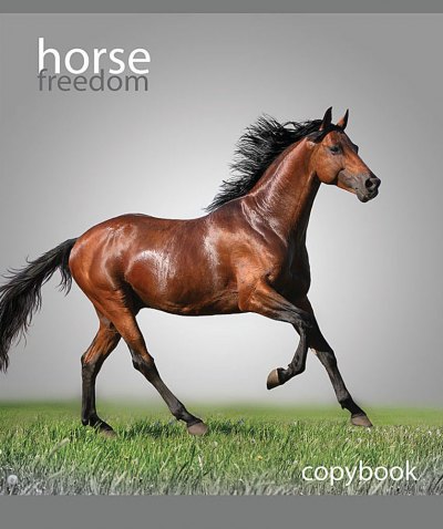 .48 . ."Horse freedom" - .489516/UV/6