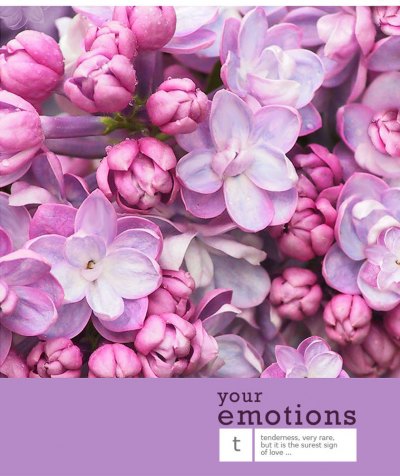 .48 . . "Flowers Emotions"  . 489549/6